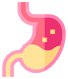 기능성 소화불량